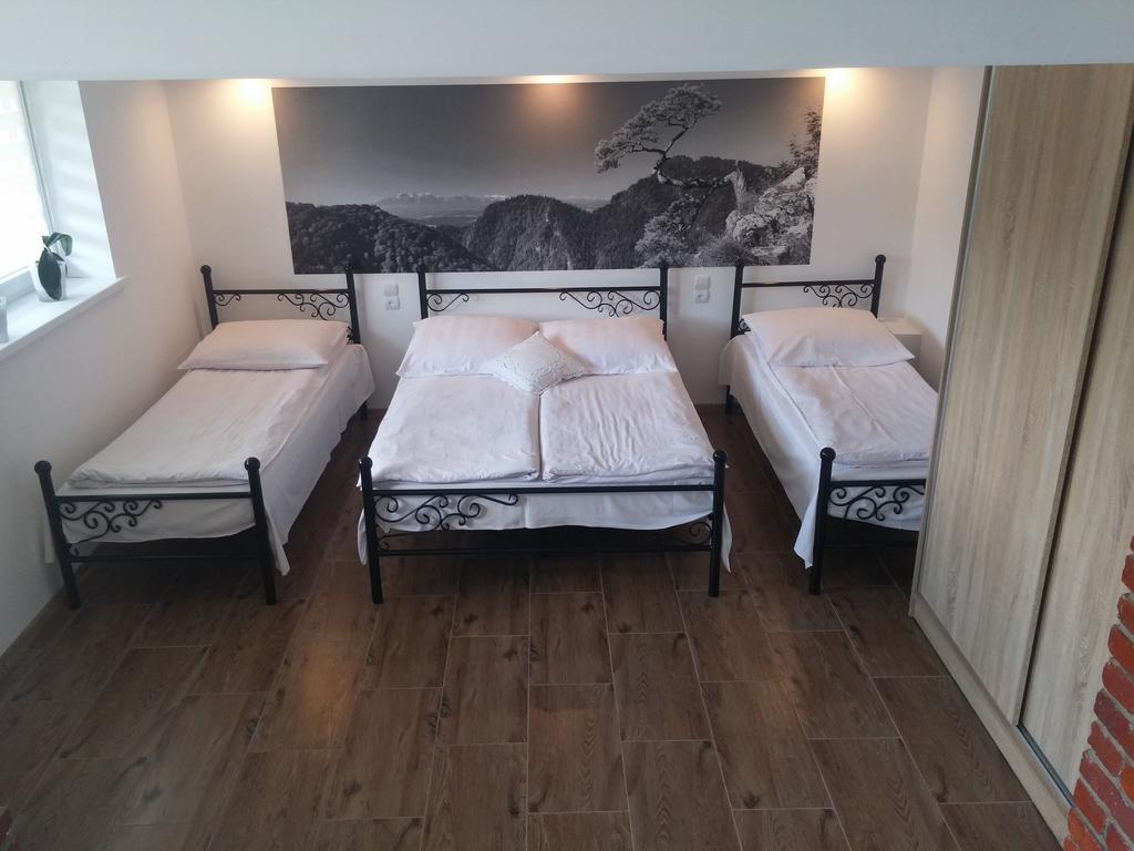 Appartement Pokoje Do Wynajecia U Lusi à Krościenko Extérieur photo