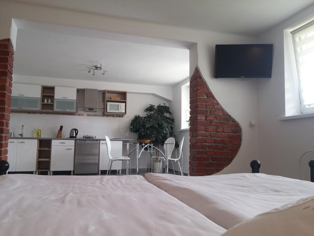 Appartement Pokoje Do Wynajecia U Lusi à Krościenko Extérieur photo