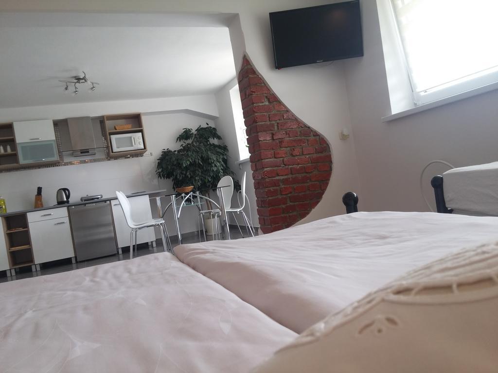 Appartement Pokoje Do Wynajecia U Lusi à Krościenko Extérieur photo